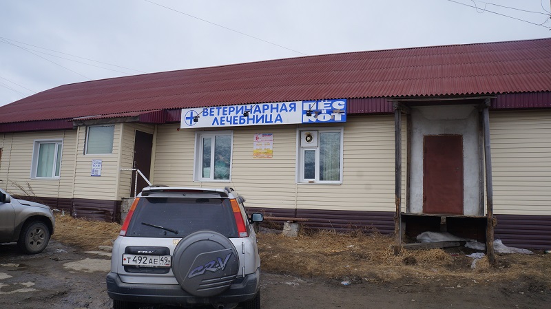 Три дня на ликвидацию свалки дал мэр Магадана управляющей компании, Фото с места события собственное