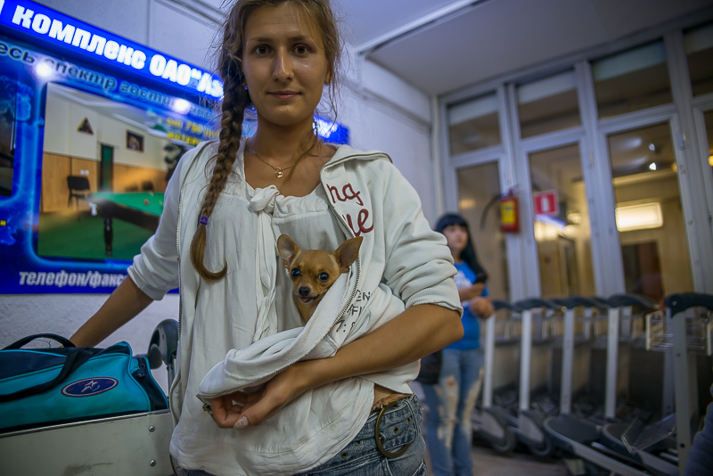 Спасали и четвероногих, Фото с места события собственное