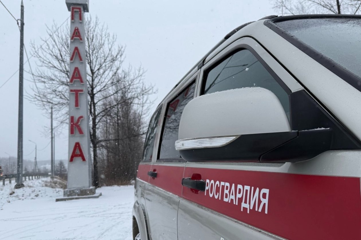 Тематическое фото пресс-служба Управления Росгвардии по Магаданской области