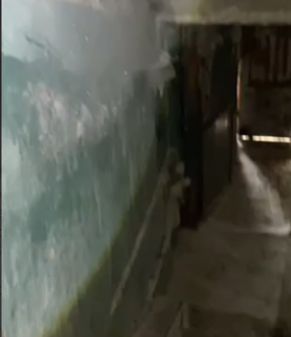 Тематическое фото Прокуратура Магаданской области/скриншот видео