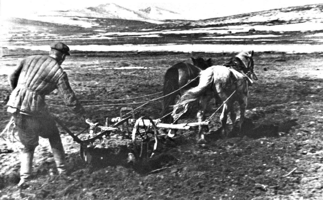 Землепашец. Дукча 1930-е годы из архива Ивана Паникарова