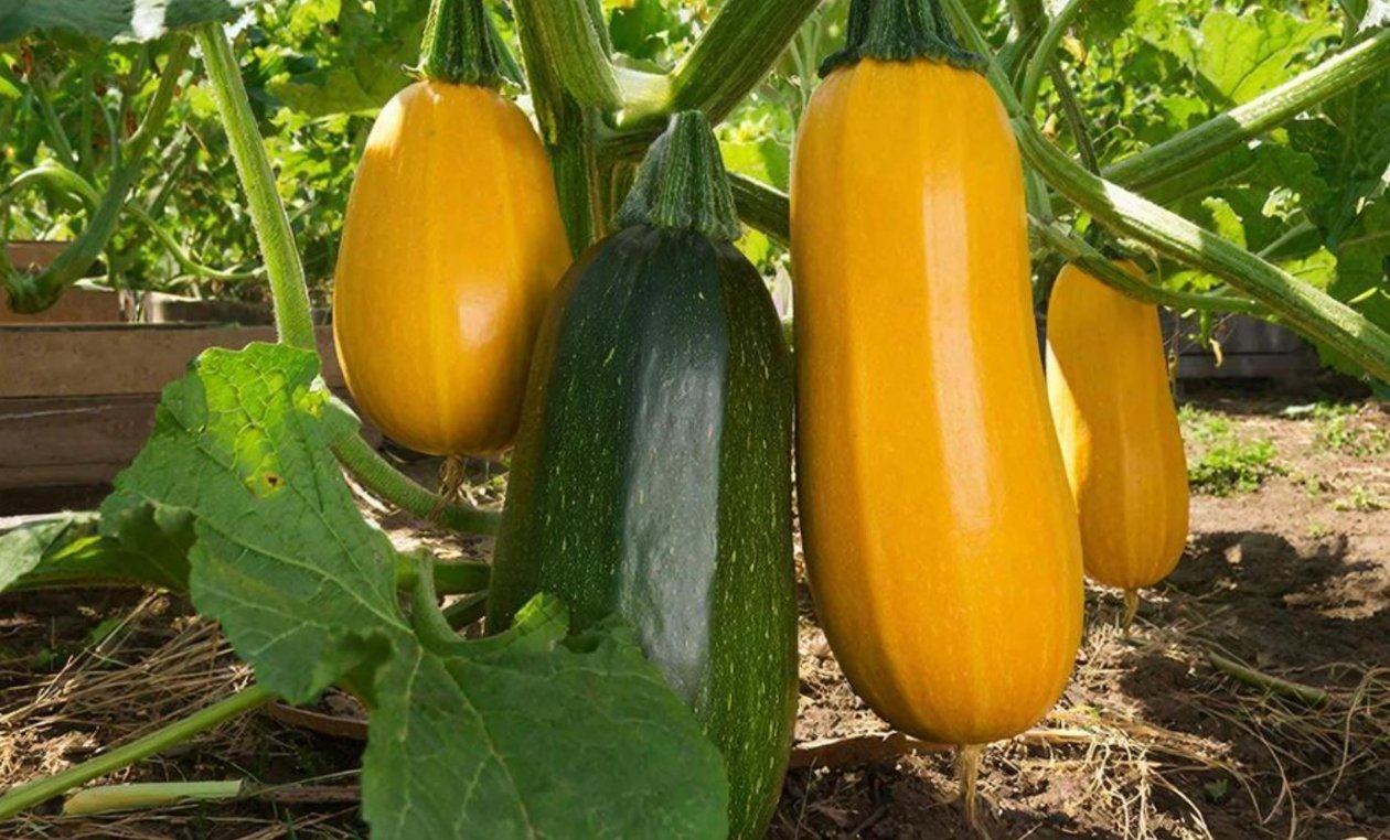 Тематическая иллюстрация Создано при помощи ИИ