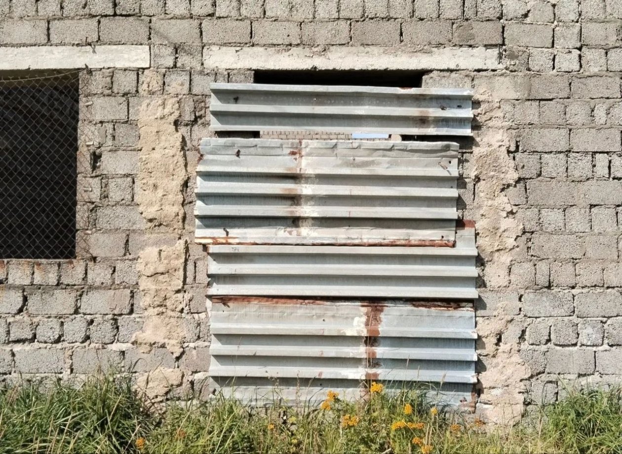 Тематическое фото