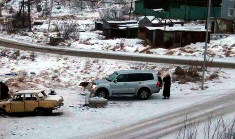 Жители Магадана страдают от агрессии уличных собак, Фото с места события из других источников