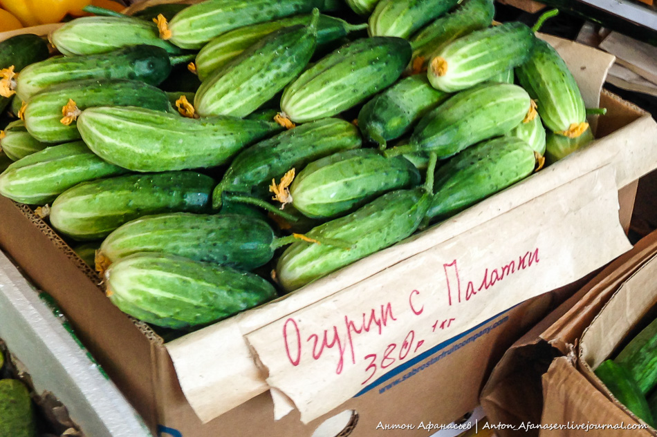 Огурцы из поселка Палатка, Фото с места события из других источников