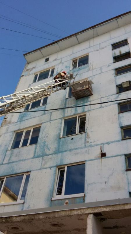 Чайка в погоне за пищей залезла в так называемый "колымский холодильник"