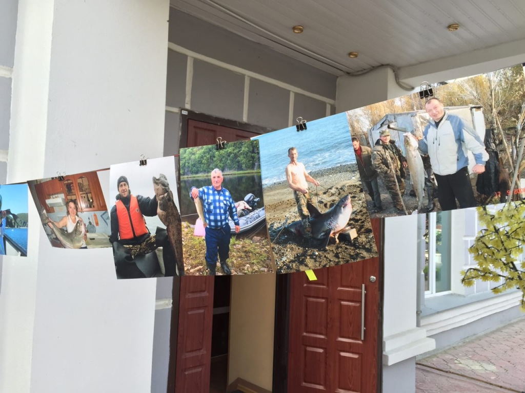 Снимки участников фотоконкурса "Большая рыба" показали магаданцам