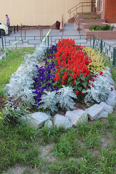 Победителя конкурса "Лучший двор, лучший подъезд" назовут на следующей неделе в Хабаровске