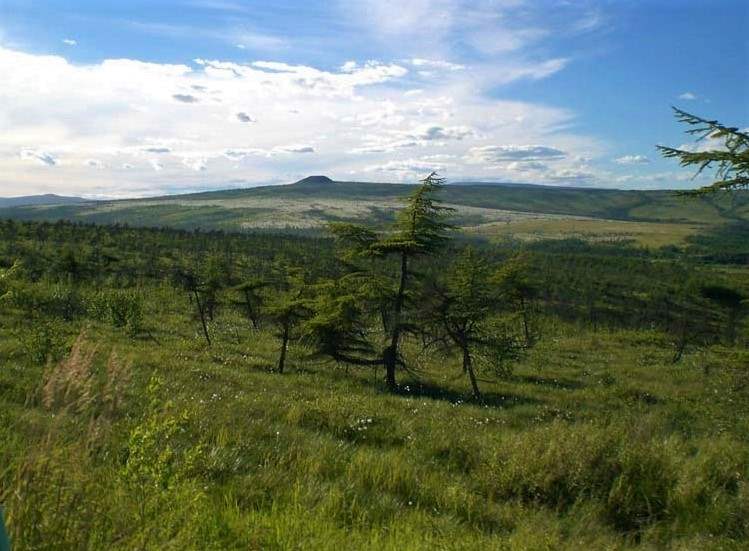 Ольский городской округ на Колыме станет пилотным для выделения "дальневосточного гектара"