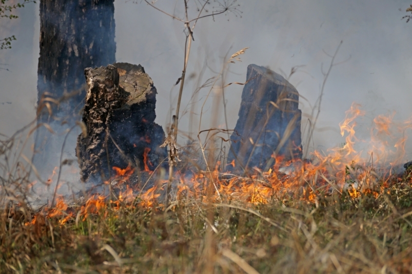 Риск возникновения ЧС из-за лесных пожаров сохраняется в округах Магаданской области