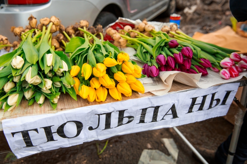 Россиян предупредили о росте цен на букеты к 8 марта