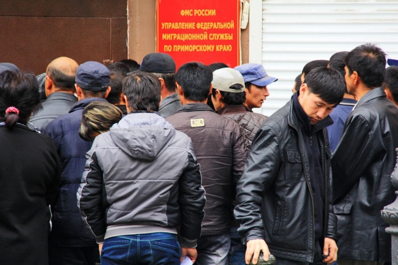 К ужесточению миграционных норм в России призывают в ЛДПР