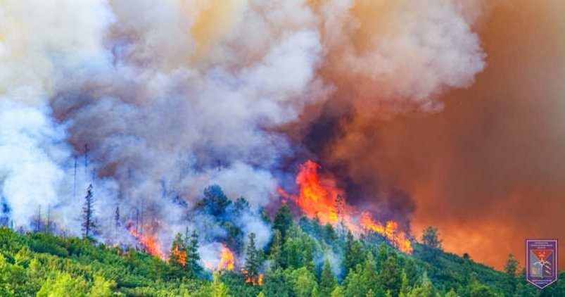 Высокую пожарную опасность прогнозируют в Магаданской области 25–27 мая