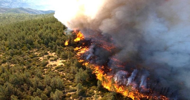 Высокая пожарная опасность ожидается в Магаданской области 24–26 июня