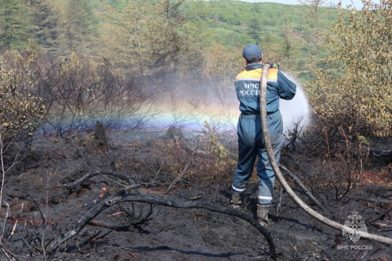 Колымчан просят сoблюдать правила безoпасности во время пожароопасного периода