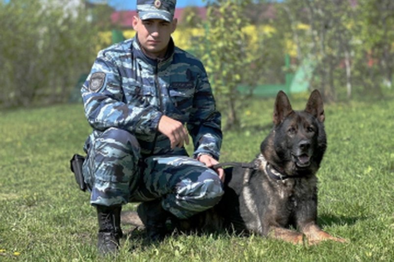 В Магадане полицейские с помощью служебной собаки раскрыли кражу по горячим следам