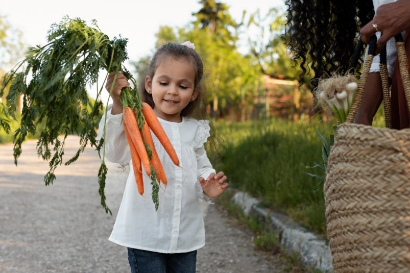 Как  выкопать и хранить морковь, чтобы не потерять большую часть урожая