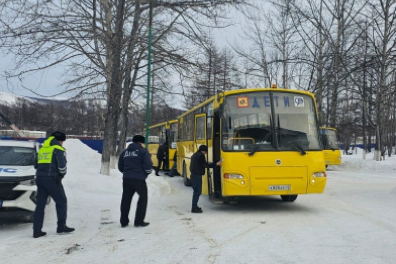 На Колыме госавтоинспекторы обеспечивают безопасность перевозок детей на новогодние елки