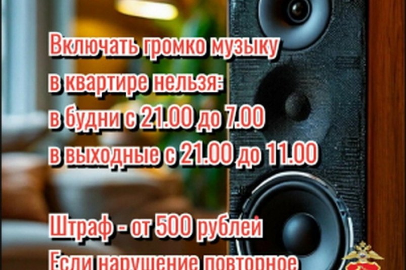 На Колыме составили 45 административных протоколов за нарушение покоя граждан