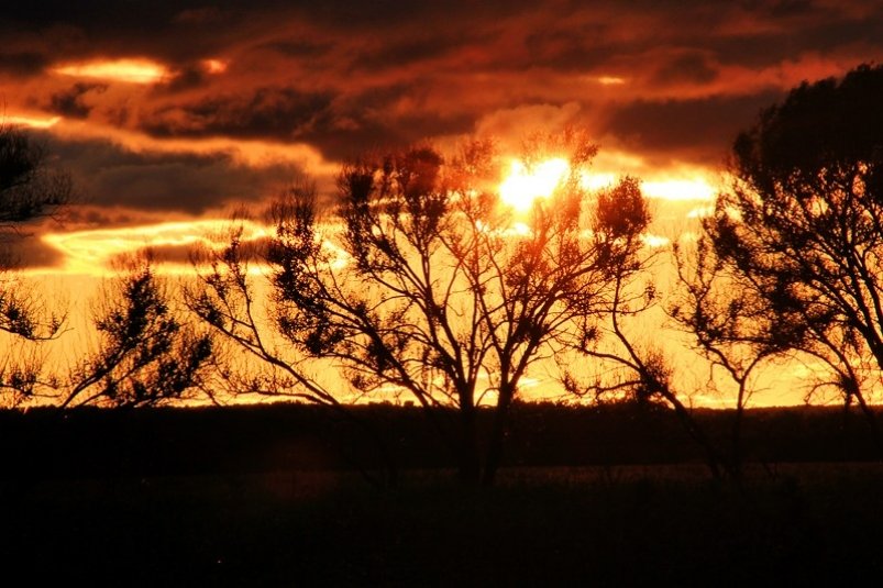 Эксперт сказал о последствиях для техники солнечной вспышки высочайшего класса