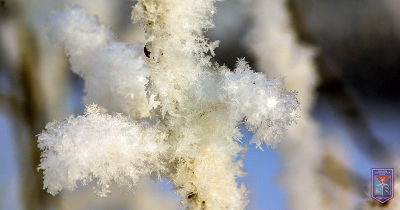 Сильную изморозь прогнозируют в Ольском округе 29 марта