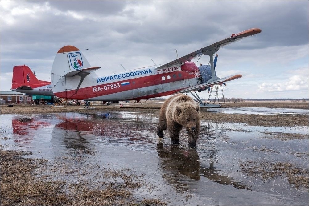 Лучшие фотографии Магадана за неделю