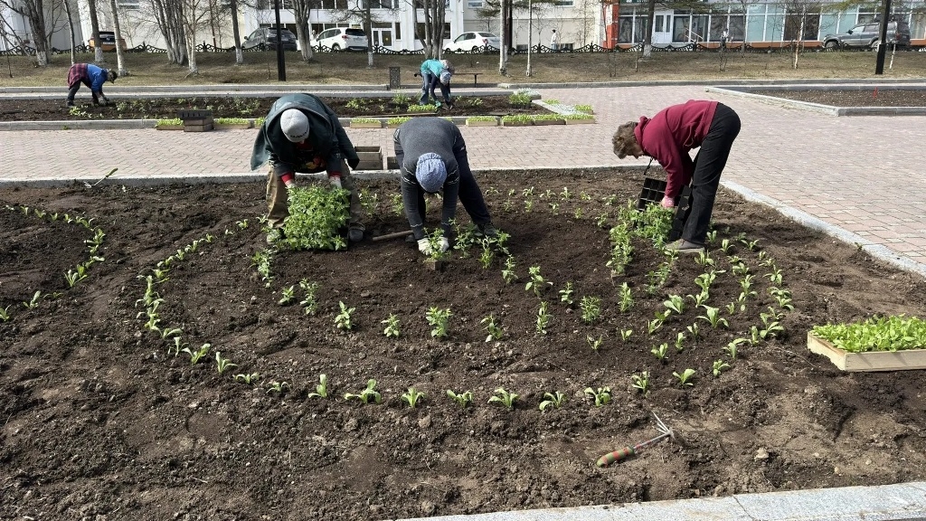 В Магадане ведут сезонное благоустройство Источник