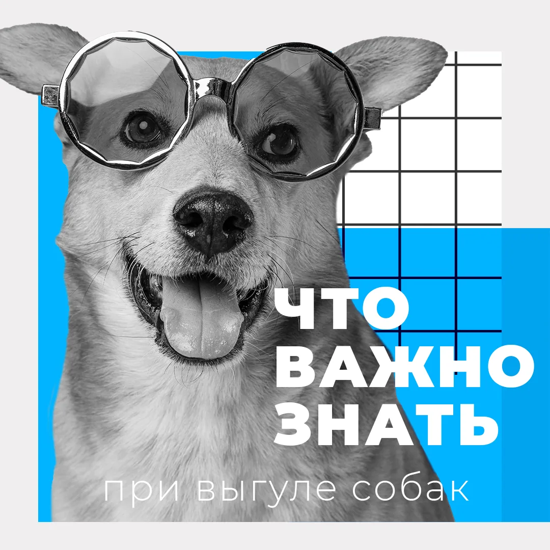 Тематическое фото Правительство Магаданской области