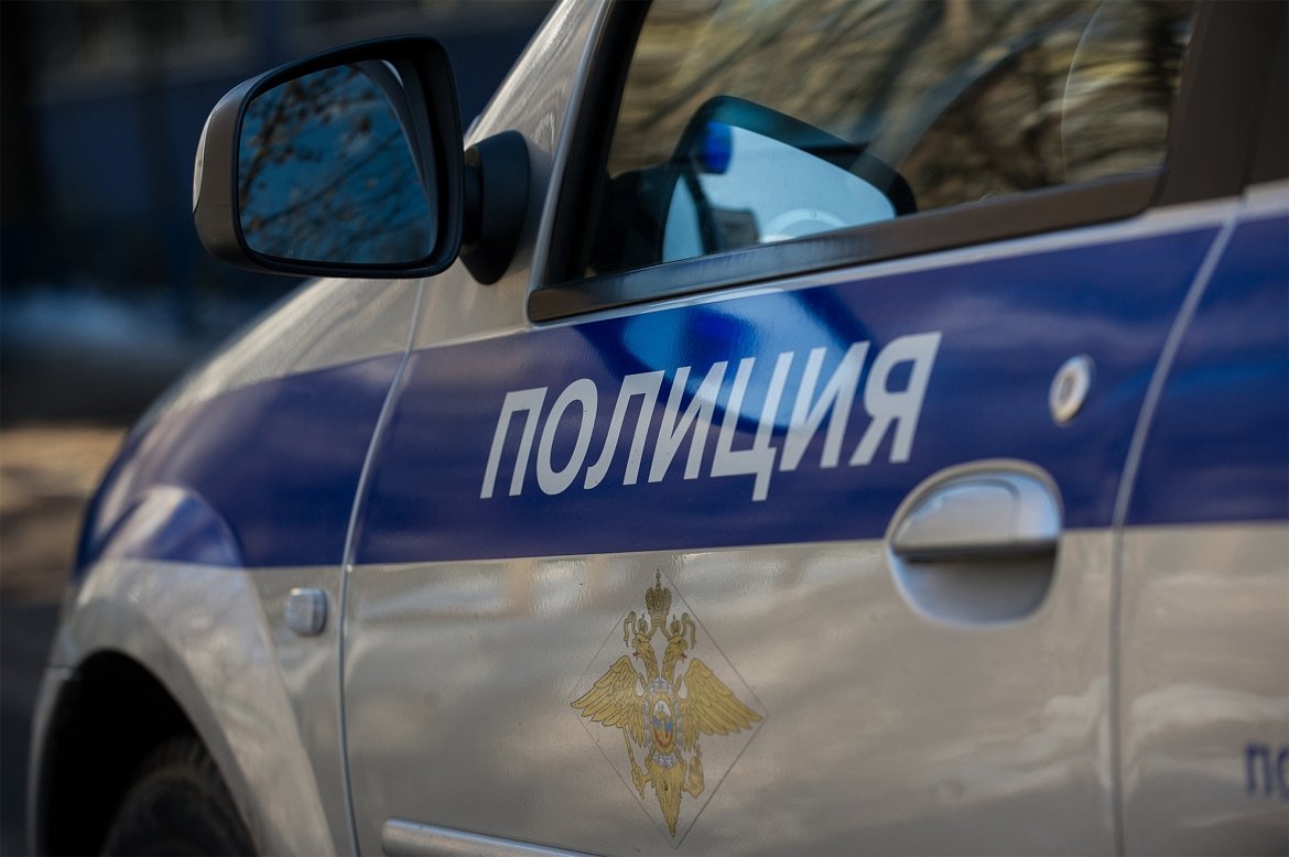 Тематическое фото 