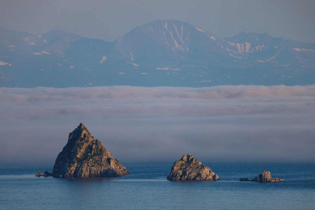 Лето Юлия Егорова
