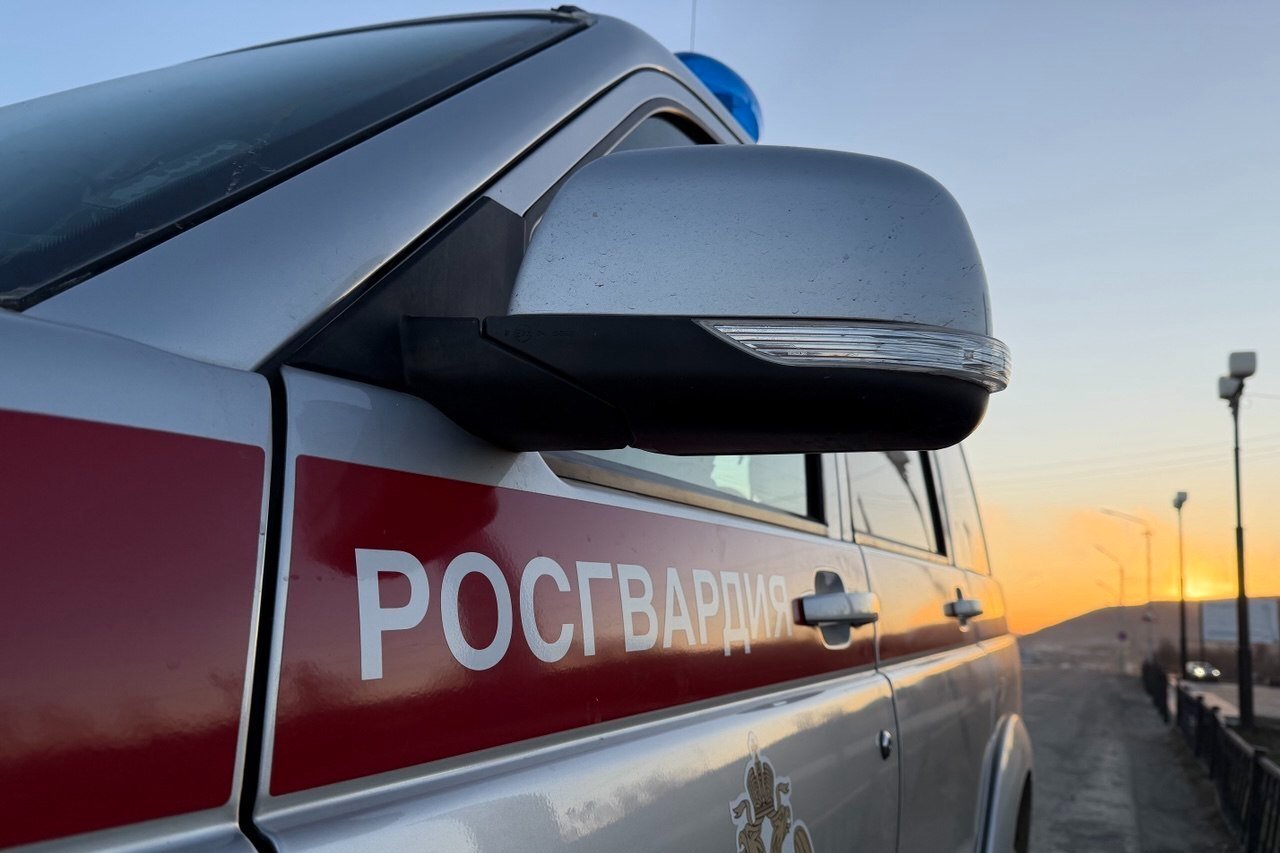Тематическое фото 