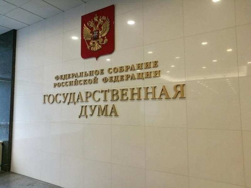 Госдума Ольга Кишаковская, ИА PrimaMedia