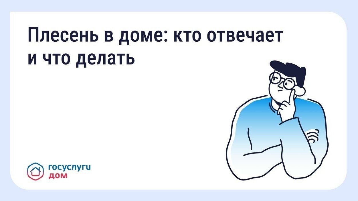 Тематическое фото 