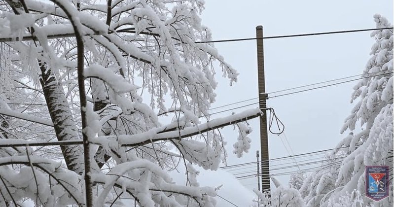 Тематическое фото 