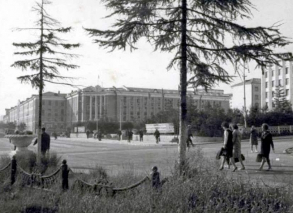 Фото дня